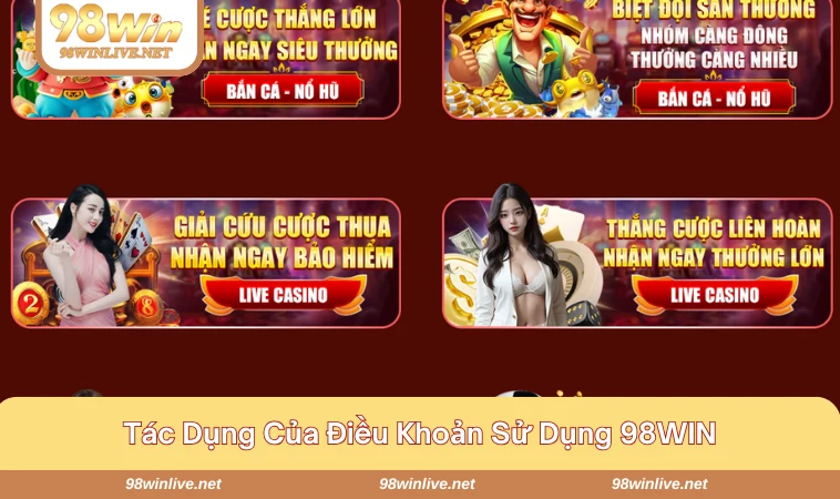 Điều Khoản Sử Dụng 98WIN 172 Điều khoản sử dụng 98WIN thiết lập chặt chẽ đảm bảo quyền lợi khách hàng